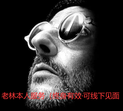 老林本人服务(终身有效可线下见面)情感私人顾问婚恋诊断与一对一陪跑服务-恋爱技巧
