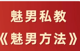 魅男合集早期中文搭讪PUA体系课程合集男性吸引经典辅修研习资源-恋爱技巧