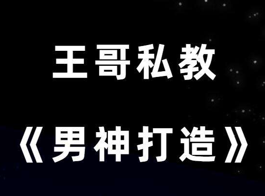 王哥私教课男性情感一对一私人督导搭讪聊天约会全案诊断与定制训练-恋爱技巧