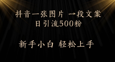 每天2分钟，抖音一张图片 一段文案日引流500粉网赚项目-副业赚钱-互联网创业-资源整合小白搞钱网,分享免费网赚项目,网创资源,视频教程,网络资源的休闲小站