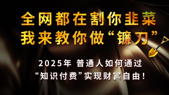 全网都在割你韭菜，我来教你做镰刀，2025普通人如何通过知识付费，实现财F自由【揭秘】网赚项目-副业赚钱-互联网创业-资源整合小白搞钱网,分享免费网赚项目,网创资源,视频教程,网络资源的休闲小站