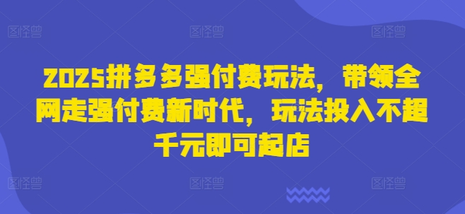 2025拼多多强付费玩法，带领全网走强付费新时代，玩法投入不超千元即可起店网赚项目-副业赚钱-互联网创业-资源整合小白搞钱网,分享免费网赚项目,网创资源,视频教程,网络资源的休闲小站