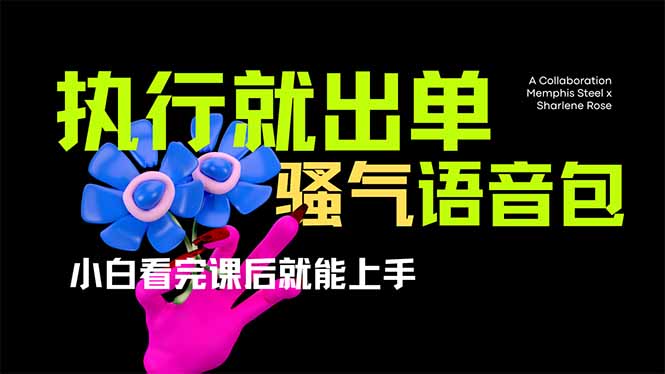 （14170期）爆火全网的开车导航骚气语音包,只要执行就出单，小白看完课程就能实操…网赚项目-副业赚钱-互联网创业-资源整合小白搞钱网,分享免费网赚项目,网创资源,视频教程,网络资源的休闲小站