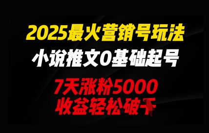 2025最火营销号玩法：小说推文0基础起号，7天涨粉5000，收益轻松破k网赚项目-副业赚钱-互联网创业-资源整合小白搞钱网,分享免费网赚项目,网创资源,视频教程,网络资源的休闲小站