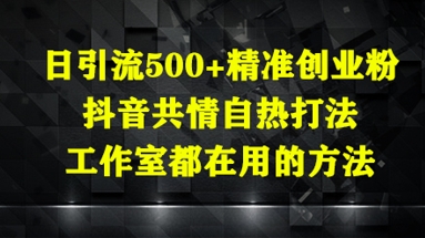 日引流500+精准创业粉，抖音共情自热打法，工作室都在用的方法网赚项目-副业赚钱-互联网创业-资源整合小白搞钱网,分享免费网赚项目,网创资源,视频教程,网络资源的休闲小站