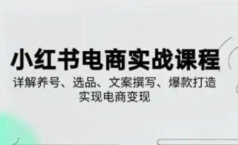 小红书从0-1实操课(2023-2025)，详解养号、选品、文案撰写、爆款打造实现电商变现网赚项目-副业赚钱-互联网创业-资源整合小白搞钱网,分享免费网赚项目,网创资源,视频教程,网络资源的休闲小站