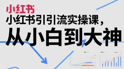 小红书引流实操课，从小白到大神网赚项目-副业赚钱-互联网创业-资源整合小白搞钱网,分享免费网赚项目,网创资源,视频教程,网络资源的休闲小站
