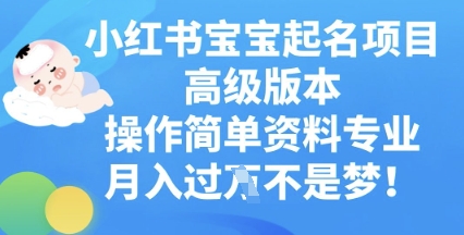 小红书宝宝起名项目高级版本，操作简单，资料专业，月入过W网赚项目-副业赚钱-互联网创业-资源整合小白搞钱网,分享免费网赚项目,网创资源,视频教程,网络资源的休闲小站