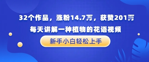 32个作品，涨粉14.7W，获赞201W，每天讲解一种植物的花语视频，无需任何技巧，新手小白轻松上手网赚项目-副业赚钱-互联网创业-资源整合小白搞钱网,分享免费网赚项目,网创资源,视频教程,网络资源的休闲小站