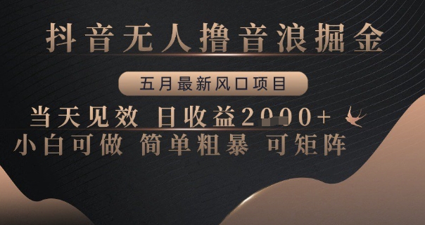 抖音无人撸音浪掘金，五月最新风口项目，当天见效，日收益多张，小白可做简单粗暴可矩阵【揭秘】网赚项目-副业赚钱-互联网创业-资源整合小白搞钱网,分享免费网赚项目,网创资源,视频教程,网络资源的休闲小站