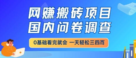 网创搬砖项目，国内问卷调查，小白轻松上手，一天三四张的也不难，干就完了【揭秘】网赚项目-副业赚钱-互联网创业-资源整合小白搞钱网,分享免费网赚项目,网创资源,视频教程,网络资源的休闲小站