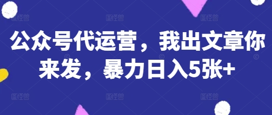 公众号代运营，我出文章你来发，暴力日入5张+【揭秘】网赚项目-副业赚钱-互联网创业-资源整合小白搞钱网,分享免费网赚项目,网创资源,视频教程,网络资源的休闲小站
