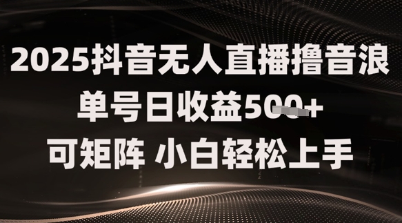 2025抖音无人直播撸音浪单号日收益5张+可矩阵，小白轻松上手网赚项目-副业赚钱-互联网创业-资源整合小白搞钱网,分享免费网赚项目,网创资源,视频教程,网络资源的休闲小站