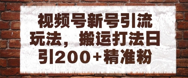视频号新号引流玩法，搬运打法日引200+精准粉，可矩阵放大【揭秘】网赚项目-副业赚钱-互联网创业-资源整合小白搞钱网,分享免费网赚项目,网创资源,视频教程,网络资源的休闲小站