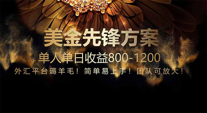 （14761期）免费技术！小众赛道！一年布局抵三年努力，每日800+网赚项目-副业赚钱-互联网创业-资源整合小白搞钱网,分享免费网赚项目,网创资源,视频教程,网络资源的休闲小站