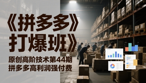《拼多多打爆班》原创高阶技术第44期，拼多多高利润强付费网赚项目-副业赚钱-互联网创业-资源整合小白搞钱网,分享免费网赚项目,网创资源,视频教程,网络资源的休闲小站