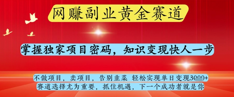网创副业黄全赛道，掌握独家项目密码，知识变现快人一步，告别韭菜轻松实现单日变现1k+【揭秘】网赚项目-副业赚钱-互联网创业-资源整合小白搞钱网,分享免费网赚项目,网创资源,视频教程,网络资源的休闲小站