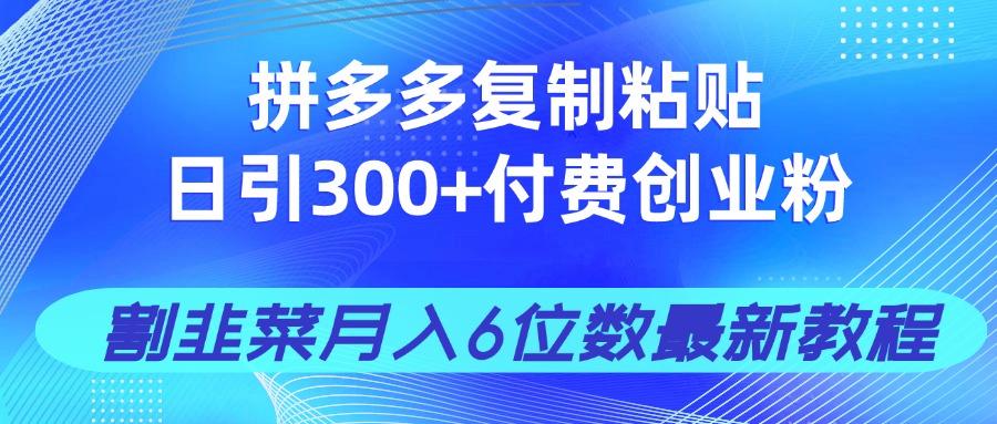 （14232期）拼多多复制粘贴日引300+付费创业粉，割韭菜月入6位数最新教程！网赚项目-副业赚钱-互联网创业-资源整合小白搞钱网,分享免费网赚项目,网创资源,视频教程,网络资源的休闲小站