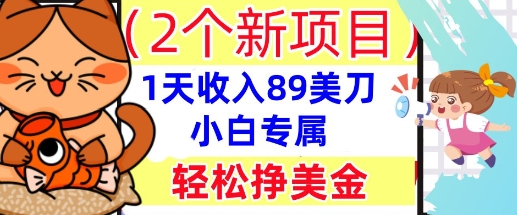 2个新项目，轻松挣美金， 1天收入89美刀，小白专属，干货分享网赚项目-副业赚钱-互联网创业-资源整合小白搞钱网,分享免费网赚项目,网创资源,视频教程,网络资源的休闲小站