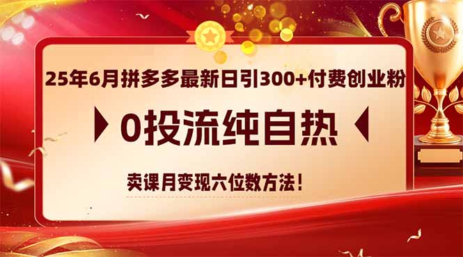 （14989期）25年6月拼多多最新日引300+付费创业粉，0投流纯自热 卖课月变现六位数方法网赚项目-副业赚钱-互联网创业-资源整合小白搞钱网,分享免费网赚项目,网创资源,视频教程,网络资源的休闲小站