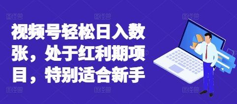 视频号轻松日入数张，处于红利期项目，特别适合新手网赚项目-副业赚钱-互联网创业-资源整合小白搞钱网,分享免费网赚项目,网创资源,视频教程,网络资源的休闲小站
