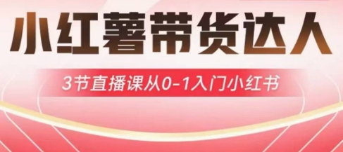 小红薯达人带货启航计划，3节直播课从0-1入门小红书网赚项目-副业赚钱-互联网创业-资源整合小白搞钱网,分享免费网赚项目,网创资源,视频教程,网络资源的休闲小站