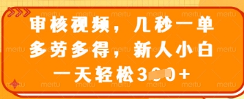 审核视频，几秒一单，多劳多得，新人小白一天轻松3张【揭秘】网赚项目-副业赚钱-互联网创业-资源整合小白搞钱网,分享免费网赚项目,网创资源,视频教程,网络资源的休闲小站