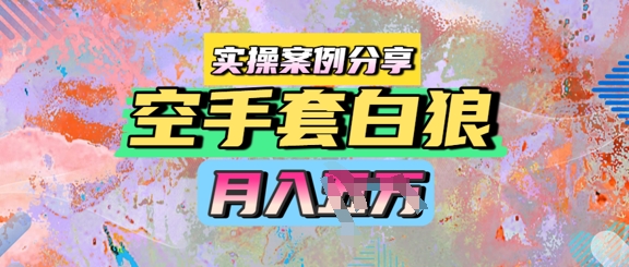 空手套白狼，月入过1W，实操案例分享网赚项目-副业赚钱-互联网创业-资源整合小白搞钱网,分享免费网赚项目,网创资源,视频教程,网络资源的休闲小站