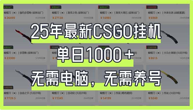 （14178期）25年最新CSGO挂机系统，单日1000+，无需电脑，无需养号，0基础可上手网赚项目-副业赚钱-互联网创业-资源整合小白搞钱网,分享免费网赚项目,网创资源,视频教程,网络资源的休闲小站