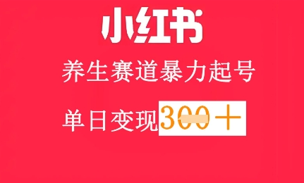 小红书养生赛道，暴力起号，轻松日入3张+网赚项目-副业赚钱-互联网创业-资源整合小白搞钱网,分享免费网赚项目,网创资源,视频教程,网络资源的休闲小站