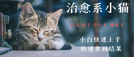拆解，疯狂火爆！抖音，小红书，视频号小猫治愈的视频，轻松制作+快速拿到结果网赚项目-副业赚钱-互联网创业-资源整合小白搞钱网,分享免费网赚项目,网创资源,视频教程,网络资源的休闲小站
