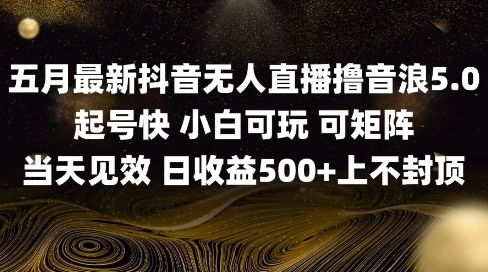 2025五月最新无人直播撸音浪单日产出5张+实操教程【揭秘】网赚项目-副业赚钱-互联网创业-资源整合小白搞钱网,分享免费网赚项目,网创资源,视频教程,网络资源的休闲小站