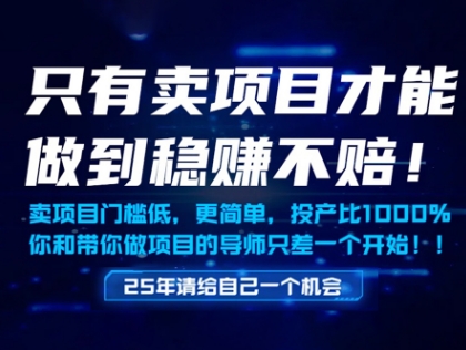 只有卖项目才能做到稳挣不赔，门槛低，更简单，你也可以年入百个W【揭秘】网赚项目-副业赚钱-互联网创业-资源整合小白搞钱网,分享免费网赚项目,网创资源,视频教程,网络资源的休闲小站