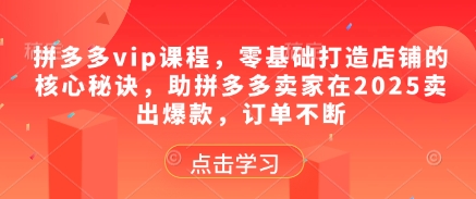 拼多多vip课程，零基础打造店铺的核心秘诀，助拼多多卖家在2025卖出爆款，订单不断网赚项目-副业赚钱-互联网创业-资源整合小白搞钱网,分享免费网赚项目,网创资源,视频教程,网络资源的休闲小站