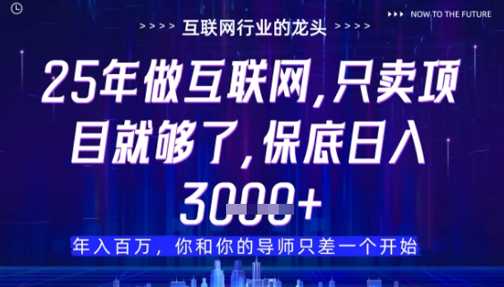 什么！25年你还在找项目做？风口早就变了，卖项目才是稳挣不赔【揭秘】网赚项目-副业赚钱-互联网创业-资源整合小白搞钱网,分享免费网赚项目,网创资源,视频教程,网络资源的休闲小站