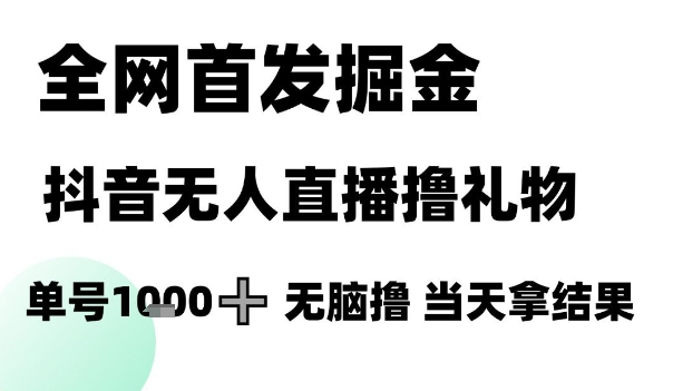 全网首发掘金抖音无人直播撸礼物，单号1k +无脑撸，当天拿结果【揭秘】网赚项目-副业赚钱-互联网创业-资源整合小白搞钱网,分享免费网赚项目,网创资源,视频教程,网络资源的休闲小站
