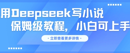 用Deepseek写小说，保姆级教程，小白可实操网赚项目-副业赚钱-互联网创业-资源整合小白搞钱网,分享免费网赚项目,网创资源,视频教程,网络资源的休闲小站