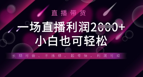 半无人直播带货，一场利润数张，适合所有平台玩法，小白也可轻松网赚项目-副业赚钱-互联网创业-资源整合小白搞钱网,分享免费网赚项目,网创资源,视频教程,网络资源的休闲小站