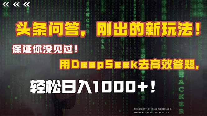 （14957期）头条问答，刚出的新玩法！保证你没见过！结合Deepseek高效答题，轻松日…网赚项目-副业赚钱-互联网创业-资源整合小白搞钱网,分享免费网赚项目,网创资源,视频教程,网络资源的休闲小站
