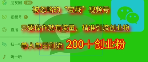 被忽略的“宝藏”视频号引流精准创业粉单人单日引流200+精准粉网赚项目-副业赚钱-互联网创业-资源整合小白搞钱网,分享免费网赚项目,网创资源,视频教程,网络资源的休闲小站