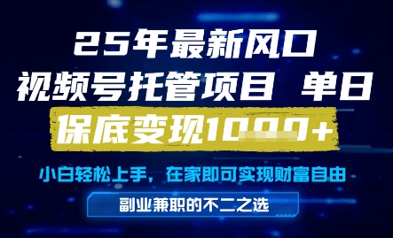 25年最新风口，视频号托管项目，单日保底变现1k+，手把手教学【揭秘】网赚项目-副业赚钱-互联网创业-资源整合小白搞钱网,分享免费网赚项目,网创资源,视频教程,网络资源的休闲小站