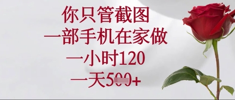 你只管截图，一部手机在家操作，一小时120.一天5张【揭秘】网赚项目-副业赚钱-互联网创业-资源整合小白搞钱网,分享免费网赚项目,网创资源,视频教程,网络资源的休闲小站